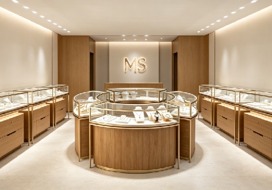 Modern Luxury Store Interior Design